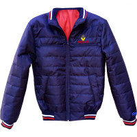 Вітровка RENAULT Вітровка RENAULT